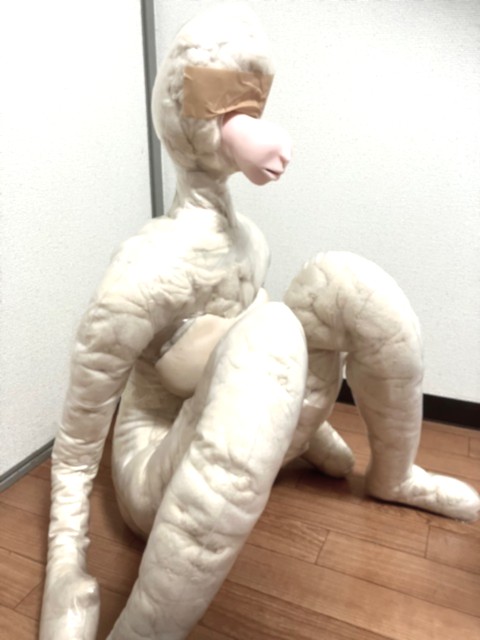 VR専用ドール